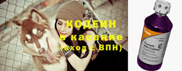 ГАЛЛЮЦИНОГЕННЫЕ ГРИБЫ Надым