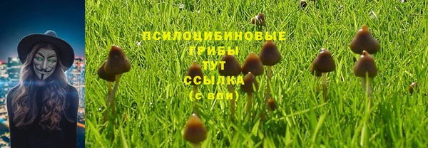 ГАЛЛЮЦИНОГЕННЫЕ ГРИБЫ Надым
