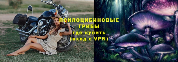ГАЛЛЮЦИНОГЕННЫЕ ГРИБЫ Надым