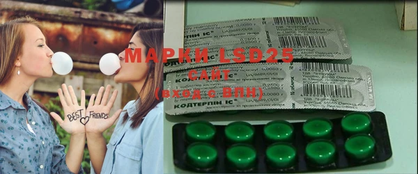 ГАЛЛЮЦИНОГЕННЫЕ ГРИБЫ Надым