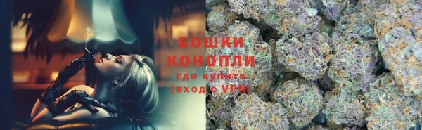 ГАЛЛЮЦИНОГЕННЫЕ ГРИБЫ Надым
