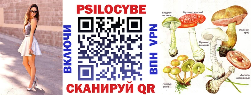 Галлюциногенные грибы GOLDEN TEACHER  где продают   Сольцы 